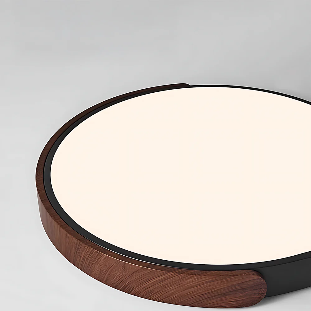 Flush Mount LED Ceiling Light For Living Room Bedroom, Circular Shape - Image 7