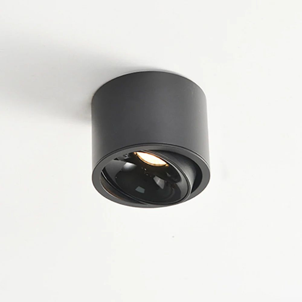Minimalist Aluminum LED Ceiling Downlights For Hallway - Image 14