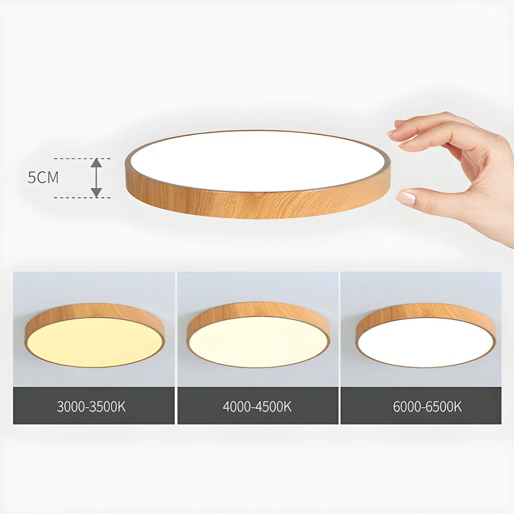 Modern Concise Style Wrought Iron Ceiling Light - Image 12