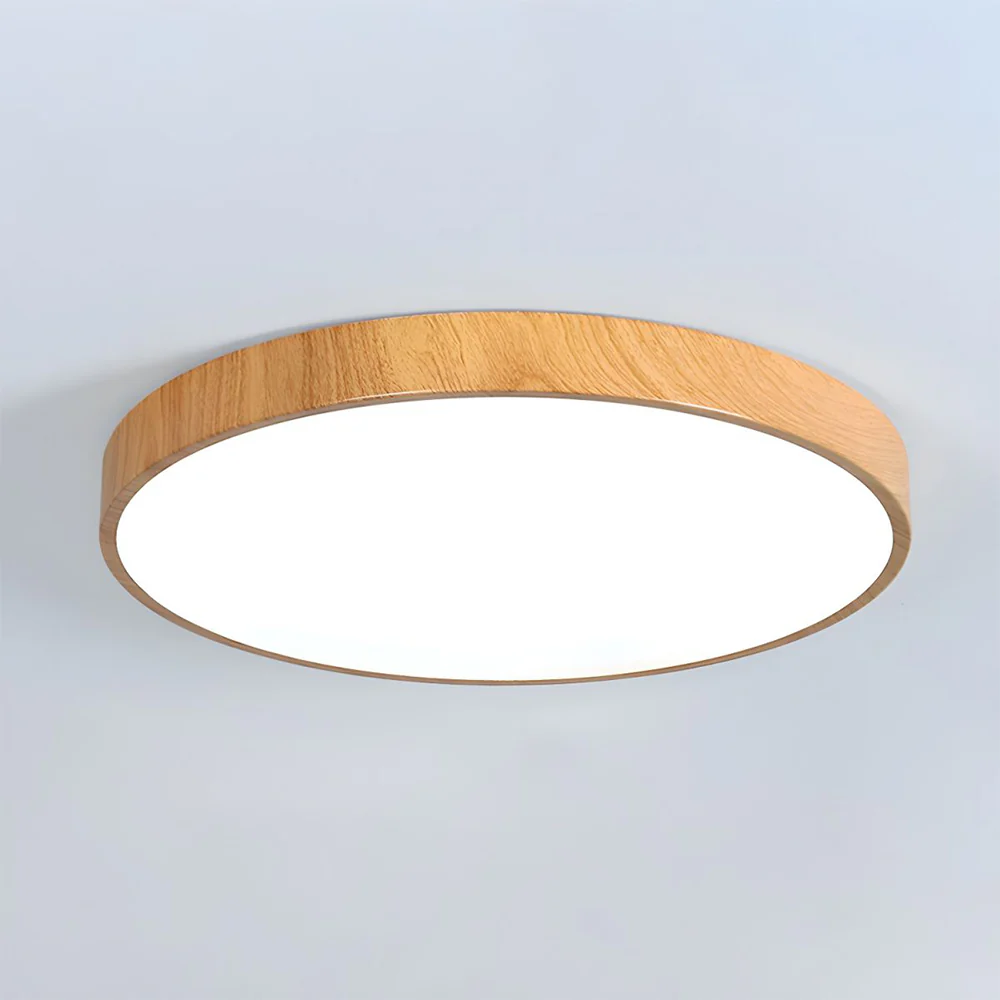 Modern Concise Style Wrought Iron Ceiling Light - Image 18