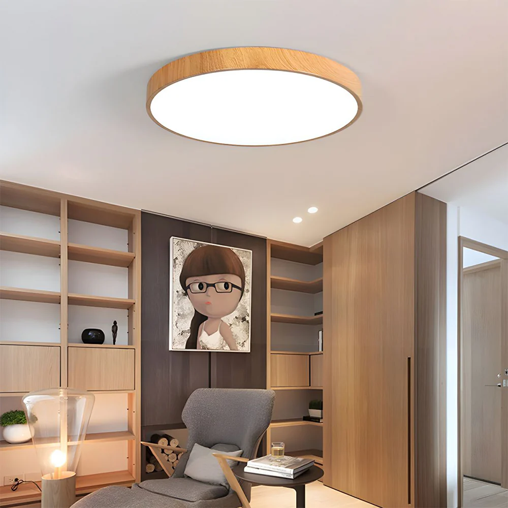 Modern Concise Style Wrought Iron Ceiling Light - Image 4