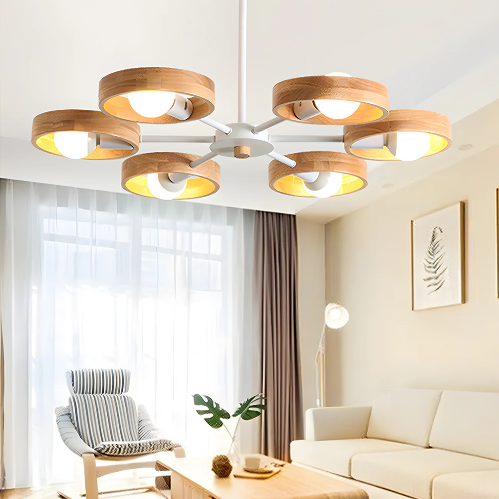 Modern Eco-friendly Ceiling Lamp For Living Room - Image 4