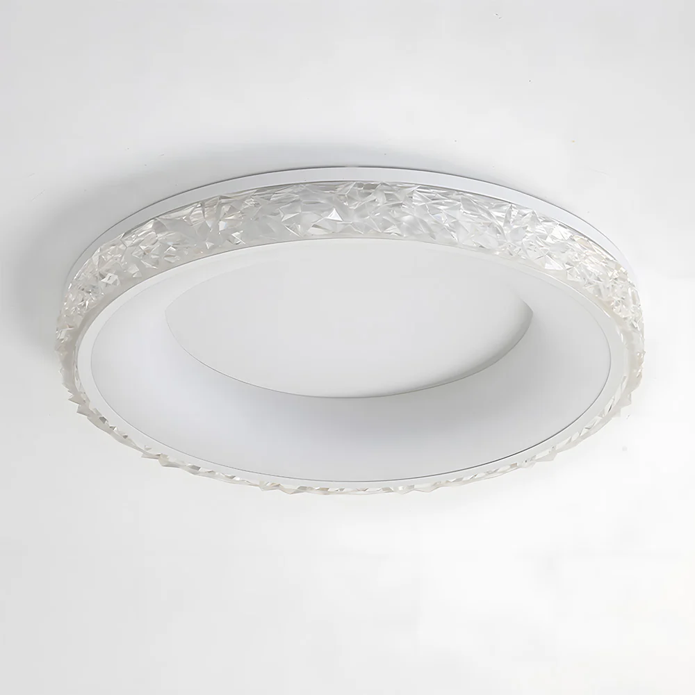 Modern Iron Dimmable LED Living Room Ceiling Lights - Image 10