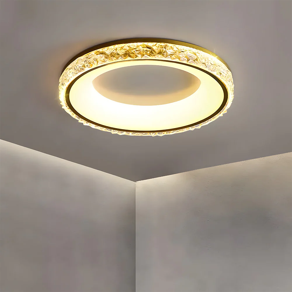 Modern Iron Dimmable LED Living Room Ceiling Lights - Image 17