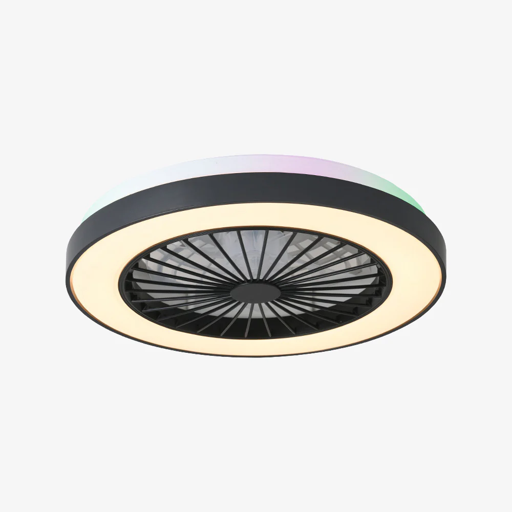 Modern LED 6-Speed Adjustable Ceiling Fan Light, Dimmable - Image 13