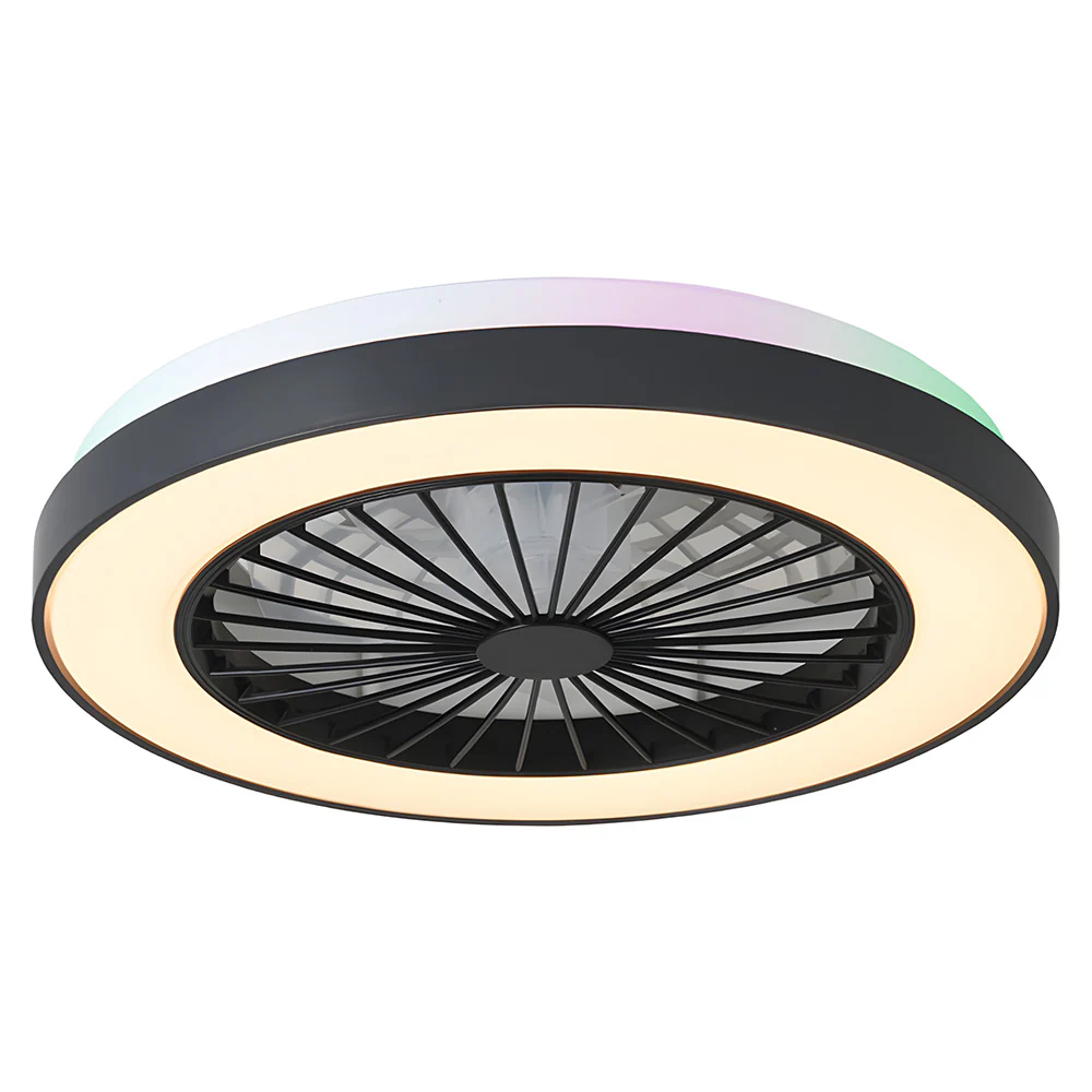 Modern LED 6-Speed Adjustable Ceiling Fan Light, Dimmable - Image 14