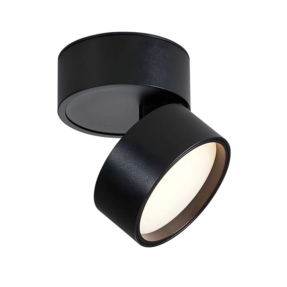 Modern Mini Surface Mounted Adjustable Ceiling Lamp - Image 11