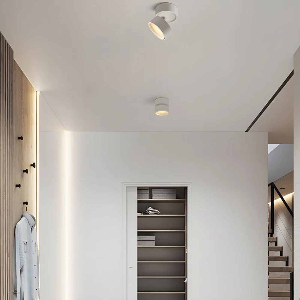 Modern Mini Surface Mounted Adjustable Ceiling Lamp - Image 5