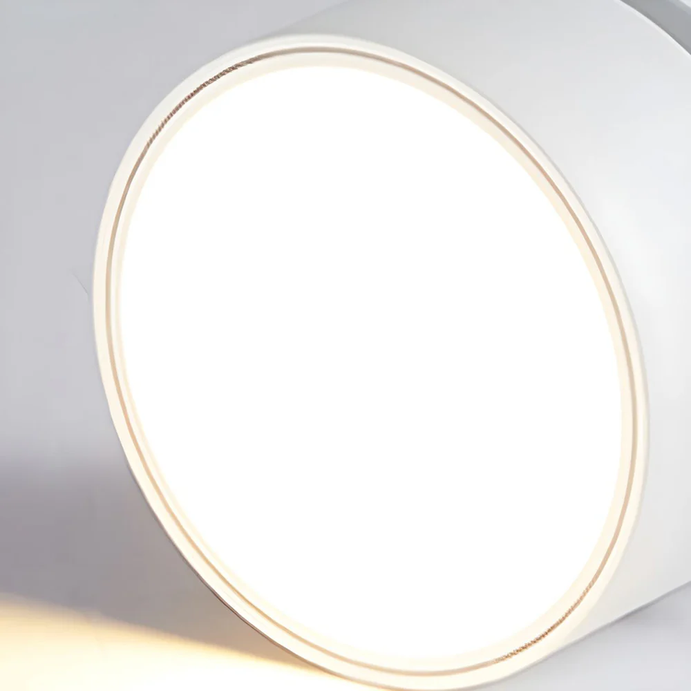 Modern Mini Surface Mounted Adjustable Ceiling Lamp - Image 9