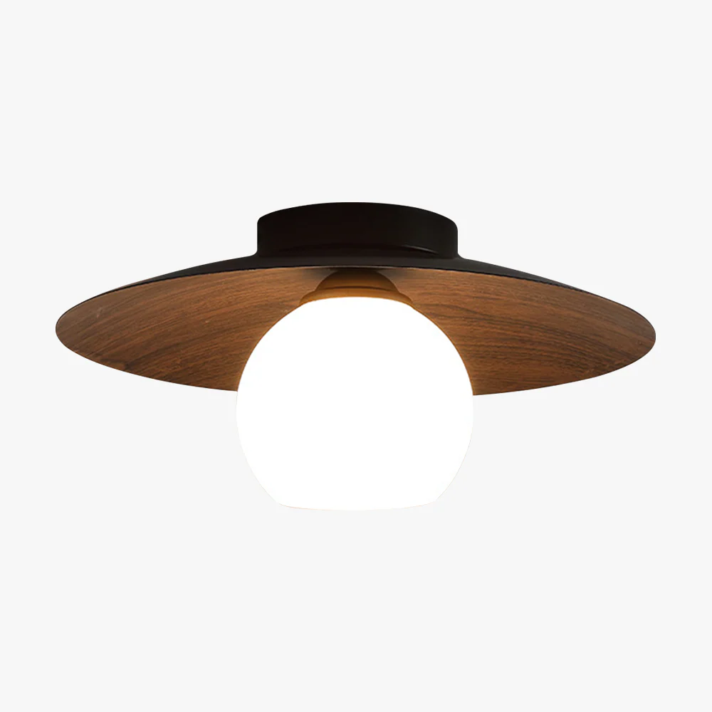 Modern Minimalist Entrance Ceiling Lights - Image 15