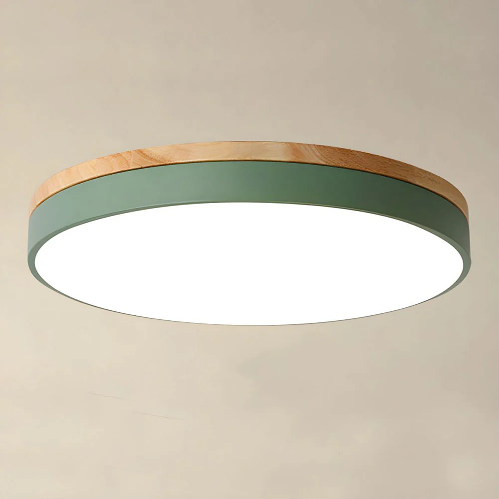 Modern Minimalist Round Flush LED Ceiling Lights - Image 18
