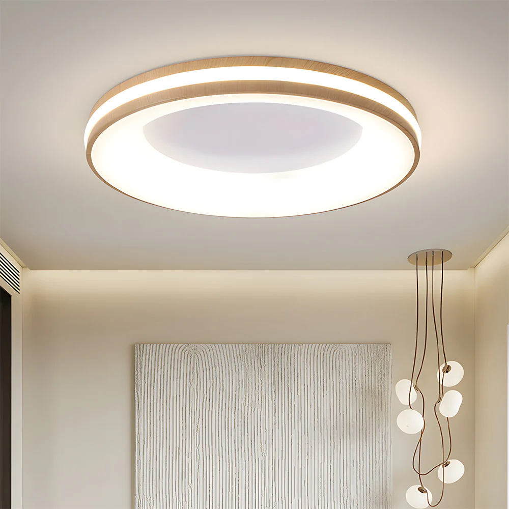 Modern Simplistic Iron Circle Ceiling Light Fixture For Bedroom - Image 15