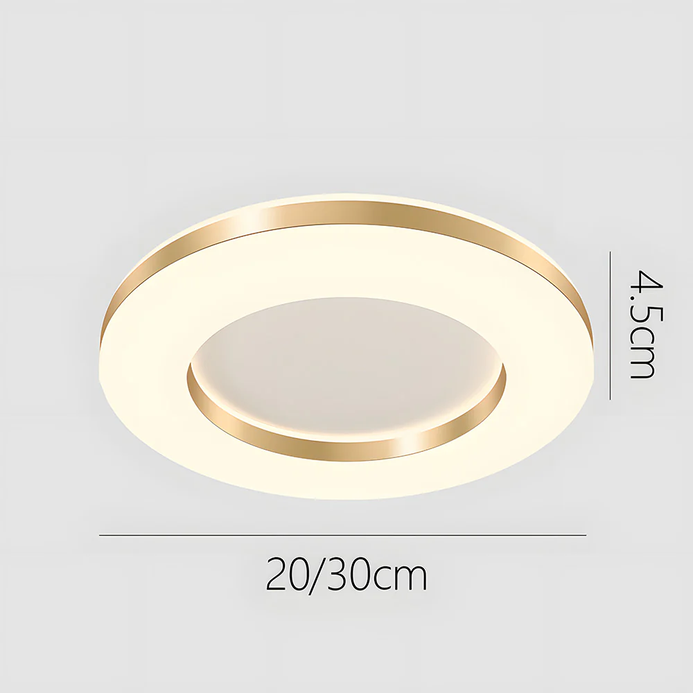Nordic Gold Iron LED Dimmable Ceiling Light For Living Room - Image 8