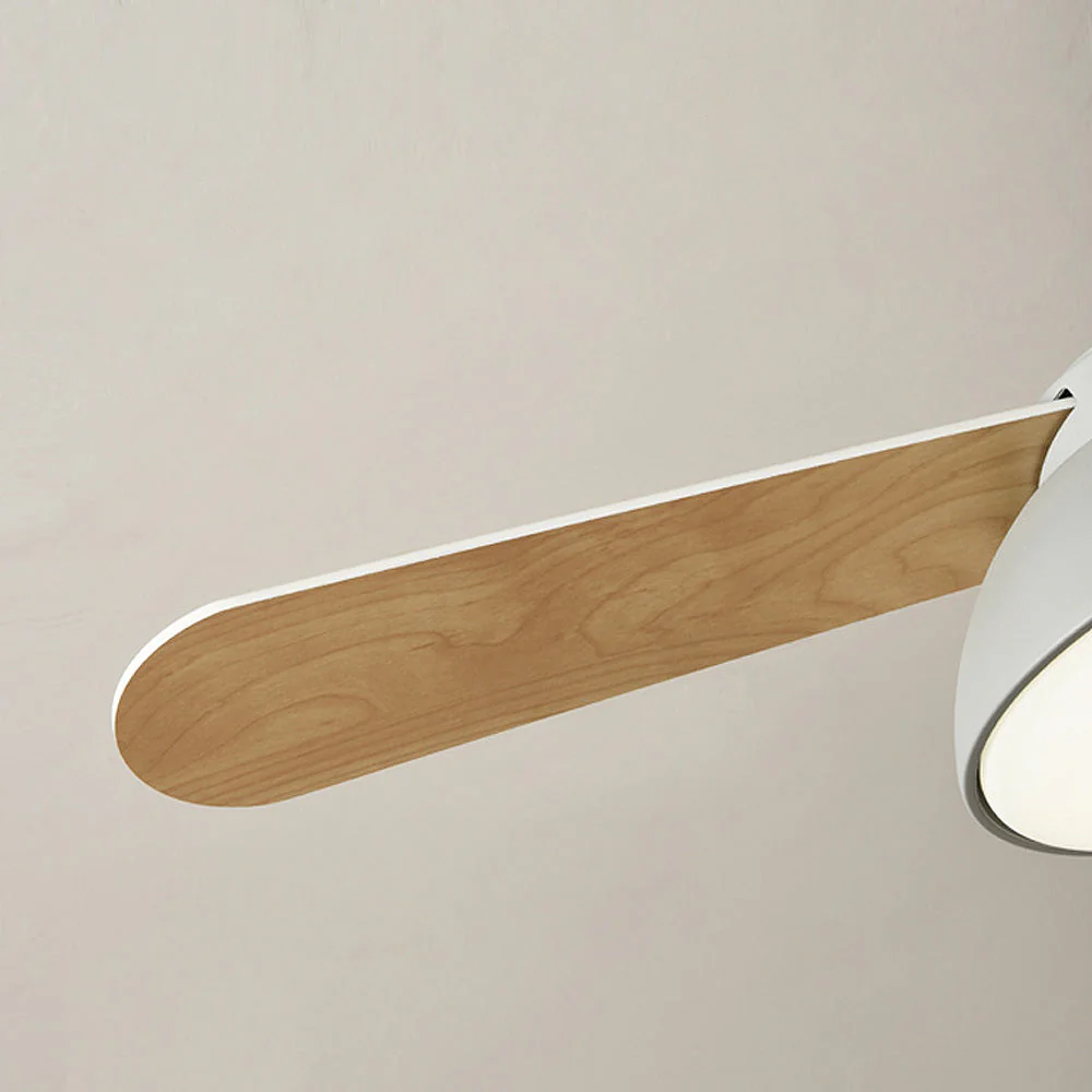 Nordic Modern Simple Flush Ceiling Fan With LED Lighting - Image 23