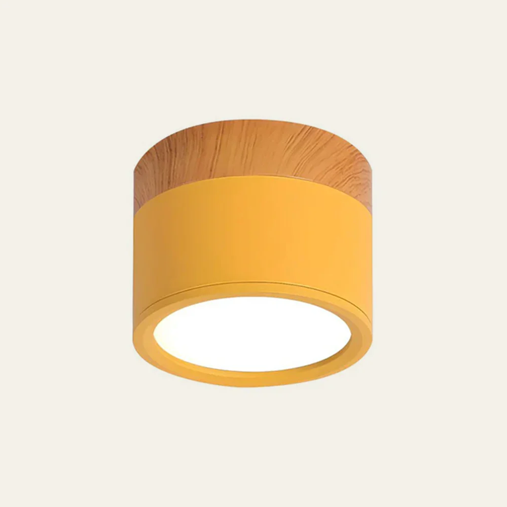 Cylinder Small Flush Ceiling Lights - Image 28