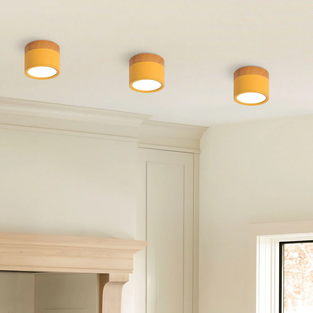 Cylinder Small Flush Ceiling Lights - Image 30