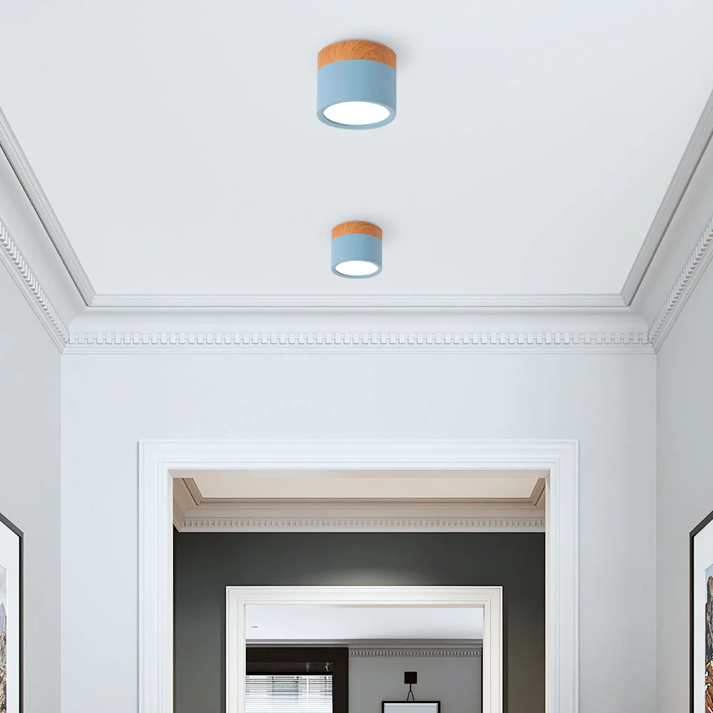 Cylinder Small Flush Ceiling Lights - Image 36