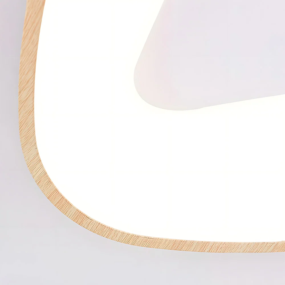 Simple Iron Flush Mount LED Ceiling Lights - Image 11