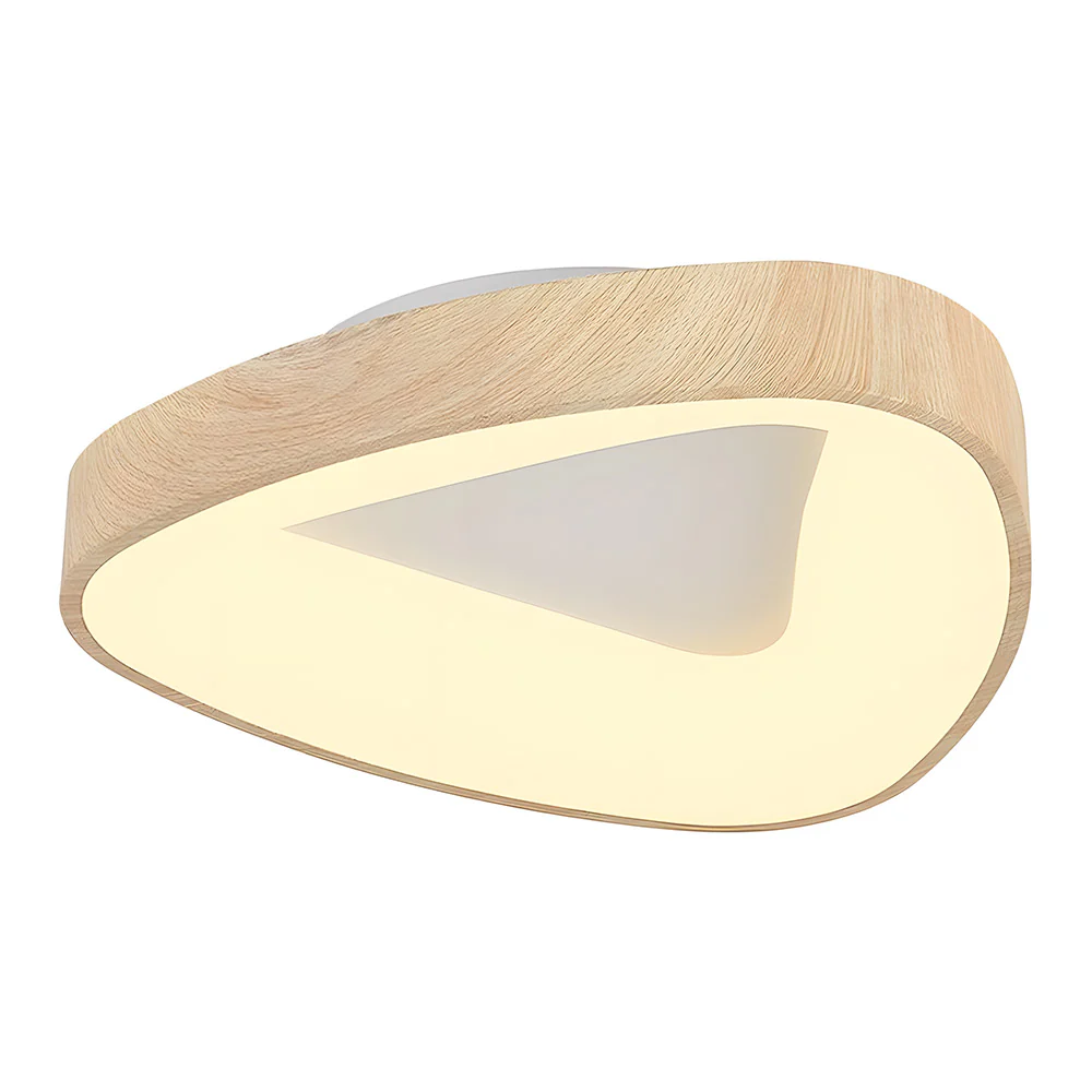Simple Iron Flush Mount LED Ceiling Lights - Image 14