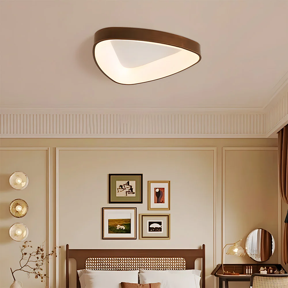 Simple Iron Flush Mount LED Ceiling Lights - Image 2